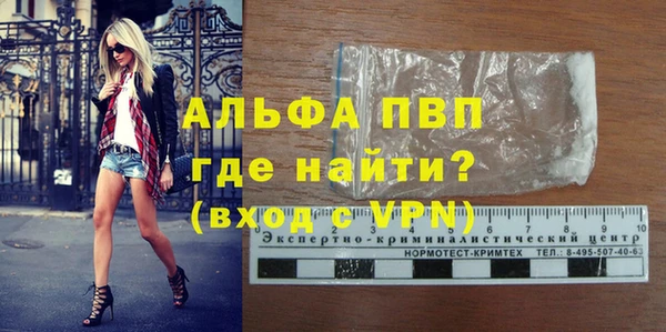 мескалин Богданович