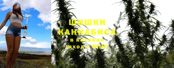 мескалин Богданович