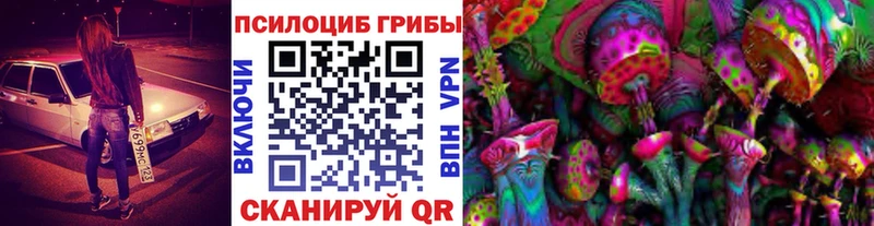 Купить где Рыльск Галлюциногенные грибы мицелий